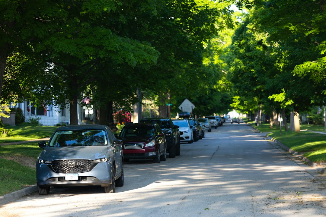 Tree-lined residential neighborhood with parked cars and homes